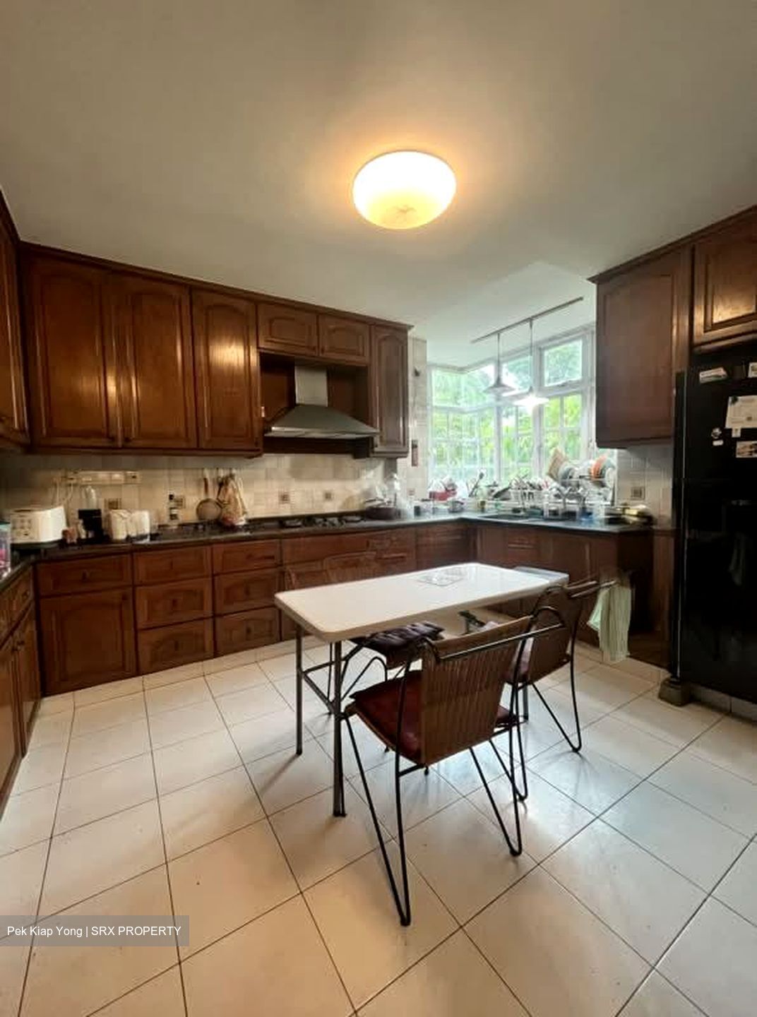Pasir Panjang Road (D5), Condominium #590771861